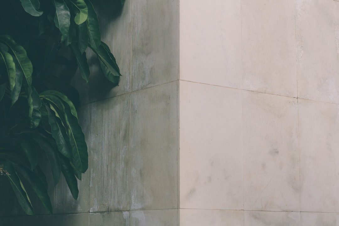 Menjelajahi Dunia Toto DV188: Panduan Lengkap dan Terpercaya