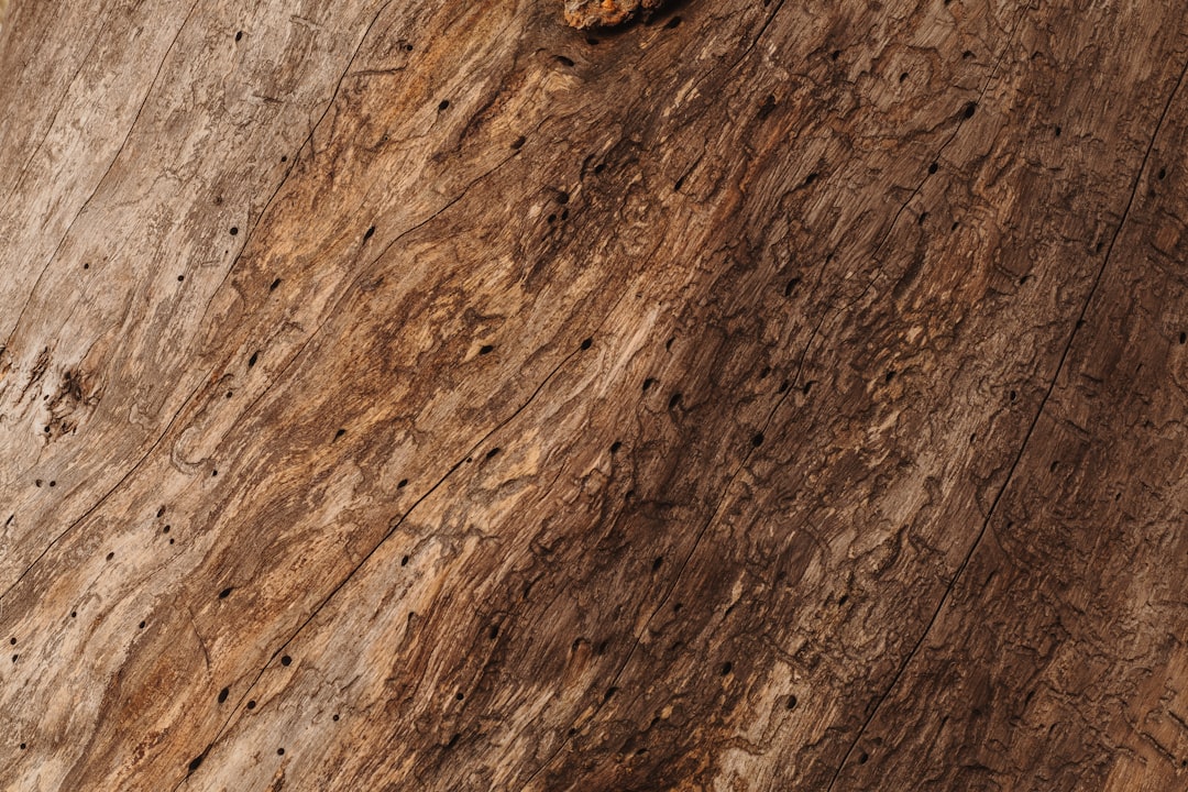 Mengenal Dv188slot: Platform Game Online yang Menarik